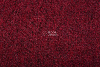 Ковролин Condor Carpets Breda Breda 20 фото 1 | FLOORDEALER